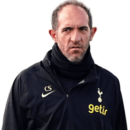 Cristian Stellini portrait