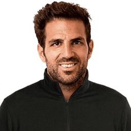 Cesc Fabregas portrait