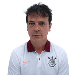 Fernando Diniz portrait