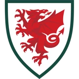 Wales Wales national team crest