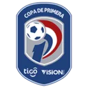 Division Profesional - Apertura logo