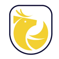 Primera División logo