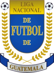 Liga Nacional logo