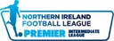 Premier Intermediate League logo