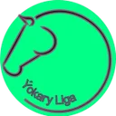 Ýokary Liga logo