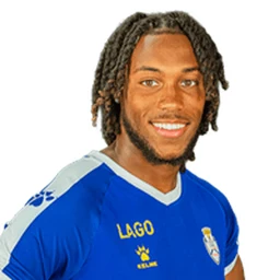 E. Fernandes
