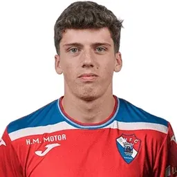G. Pinto Martins