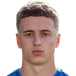 Alex Honajzer portrait