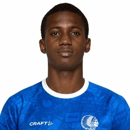 M. Diallo portrait
