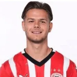 Raf van de Riet