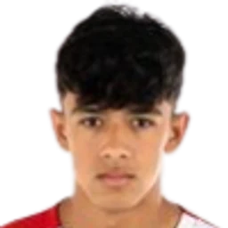 I. Luque