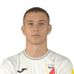 P. Petrović