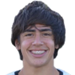 N. Azambuja portrait