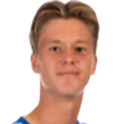 Nic Hartgers portrait