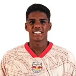 Cauê Nascimento Santos portrait