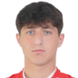 D. Gogilashvili portrait