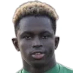 A. Sylla portrait