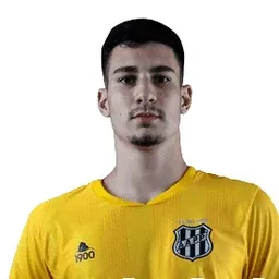 Vinicius Ferrari portrait