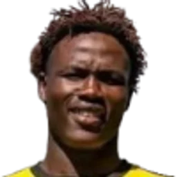 S. Akanji portrait