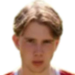 Pepijn Vallen portrait