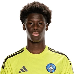 S. Keita portrait