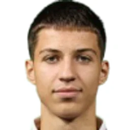 D. Saric portrait