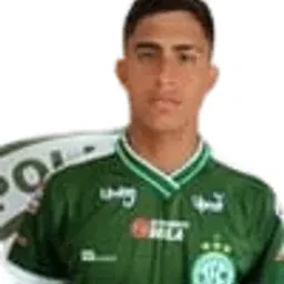 Joao Henrique portrait
