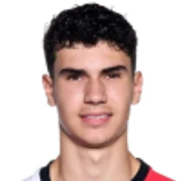 S. van Persie portrait