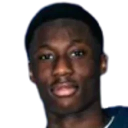 L. Dioubate portrait