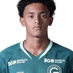 Halerrandrio portrait