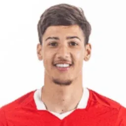 Puskas Gustavo portrait