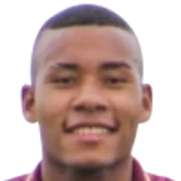 N. Sanchez portrait