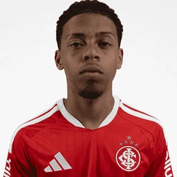 Gabriel Vinicius portrait