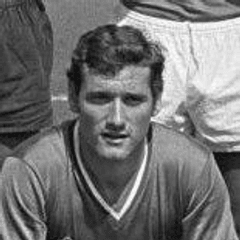 Hervé Revelli portrait