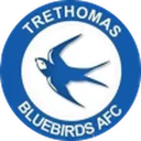 Trethomas Bluebirds crest