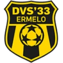 DVS 33 Ermelo crest