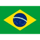 Brazil U17 crest