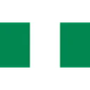 Nigeria U17 crest