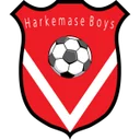 Harkemase Boys crest