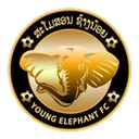 Young Elephant crest