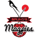 Magpies crest