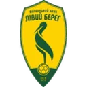 Livyi Bereh crest