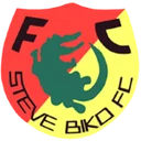 Steve Biko crest