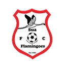 Sua Flamingoes crest