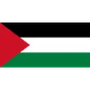 Palestine U20 crest
