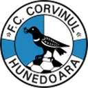 Corvinul Hunedoara crest