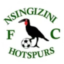 Nsingizini Hotspurs crest