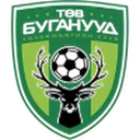 Central Stallions crest