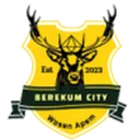 Berekum City crest