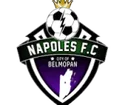 Napoles crest